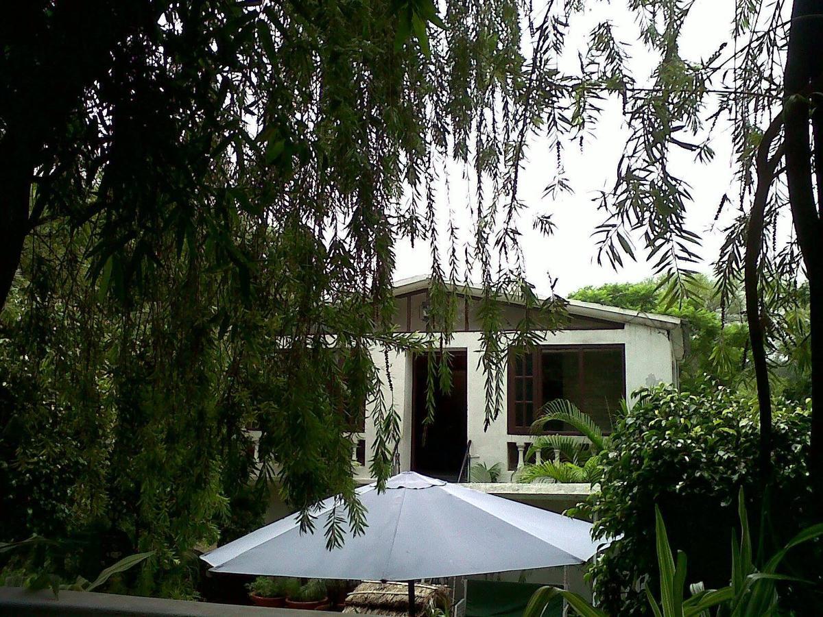 Baddi Siswan Jungle Lodge מראה חיצוני תמונה